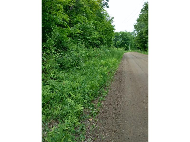 XXX Skyline Dr, Garrison, MN 56450