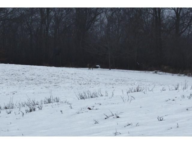 XXXX Davy Rd, Hokah, MN 55941