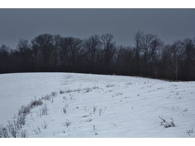 XXXX Davy Rd, Hokah, MN 55941
