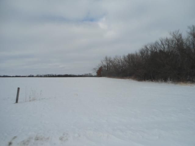 XXX Trondheim Rd, Kenyon, MN 55946