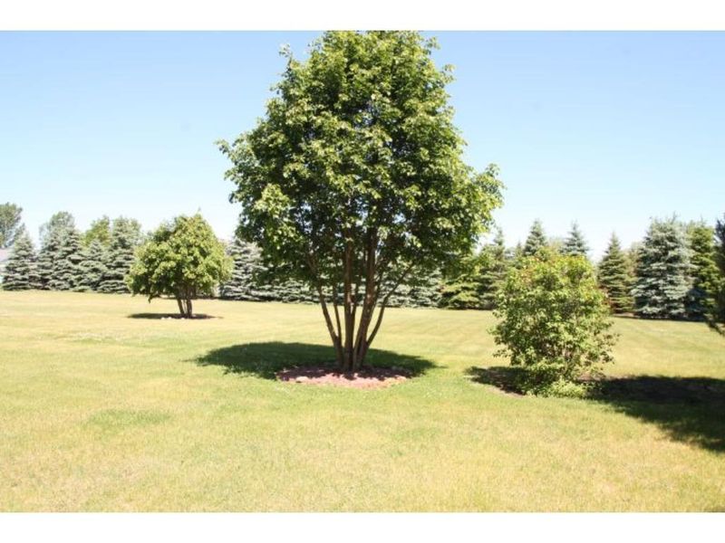 XXXX Hemlock Ln, Dayton, MN 55327