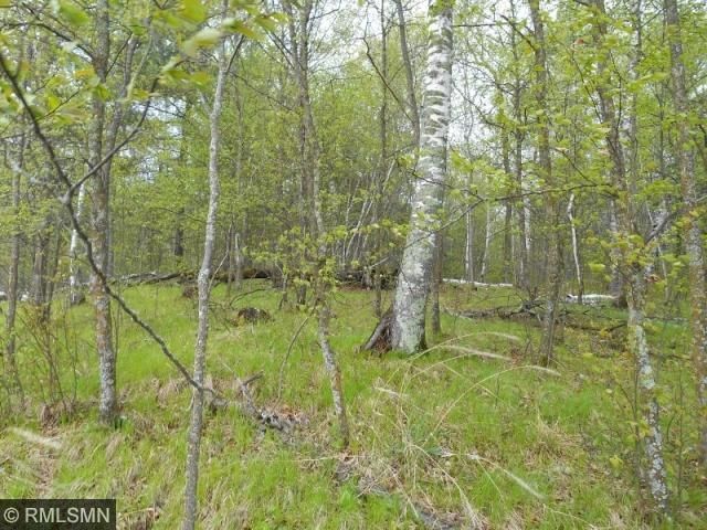 Tract A County Road 118, Backus, MN 56435