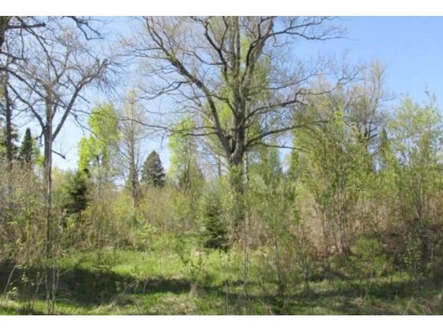 0 Hecker Dr, Finland, MN 55603