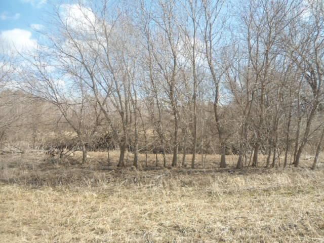 641 Nelson Dr, Wanamingo, MN 55983