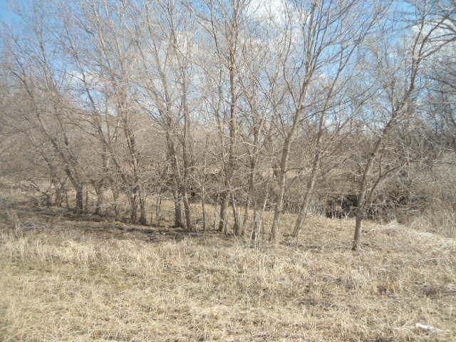 641 Nelson Dr, Wanamingo, MN 55983
