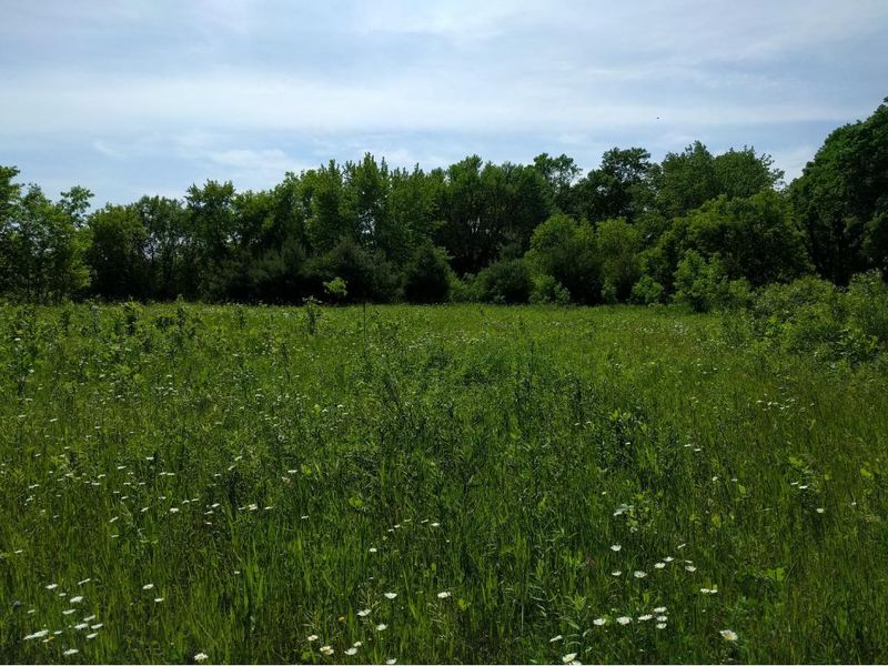 35870 Polk St NE, Stanchfield, MN 55080