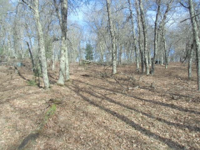 31172 Rainbow Dr, Danbury, WI 54830