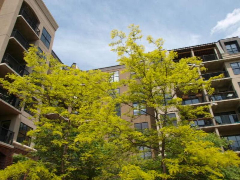 317 Groveland Ave #303, Minneapolis, MN 55403