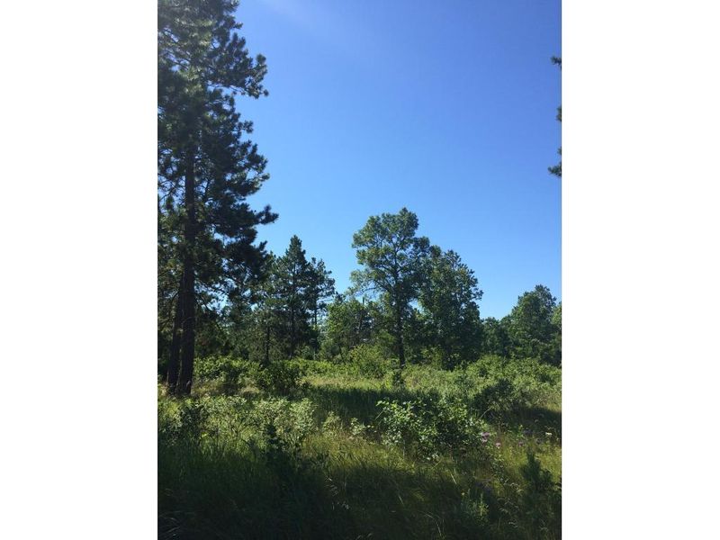TBD Us 71, Menahga, MN 56464