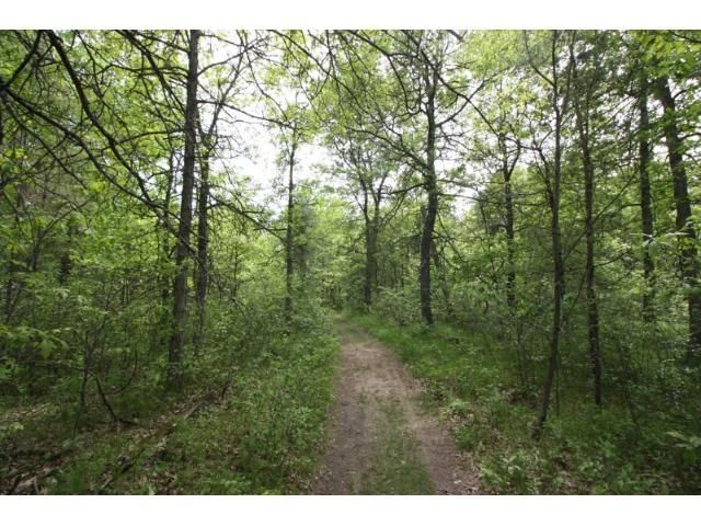 Lot 8 Cherrywood Dr, Baxter, MN 56425