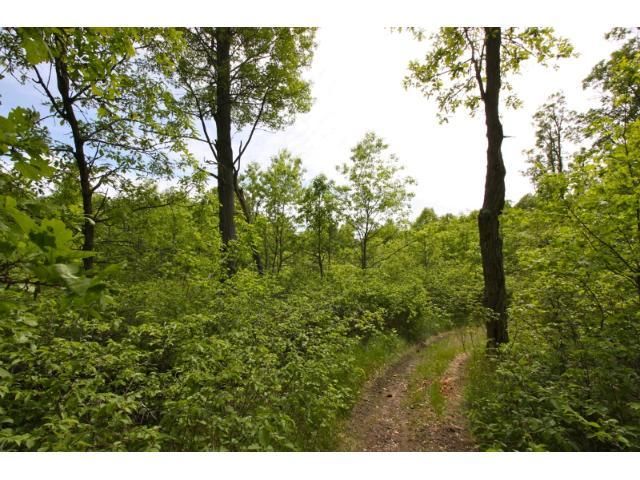 Lot 8 Cherrywood Dr, Baxter, MN 56425