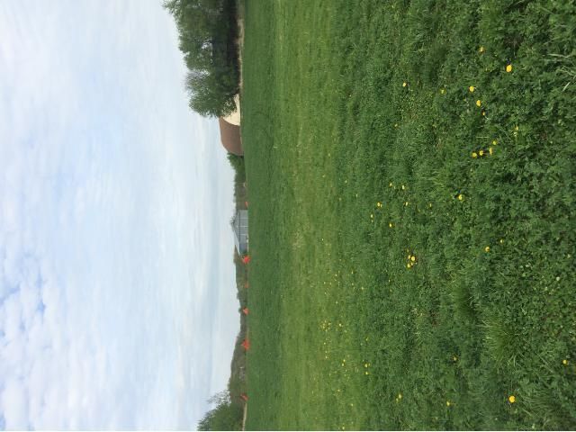 5960 Pagenkopf Rd, Maple Plain, MN 55359