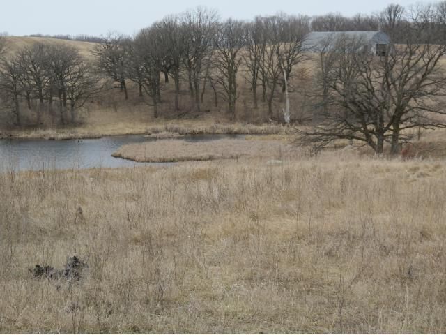 25779 344th Ave, Battle Lake, MN 56515