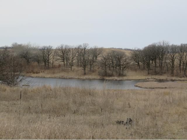 25779 344th Ave, Battle Lake, MN 56515