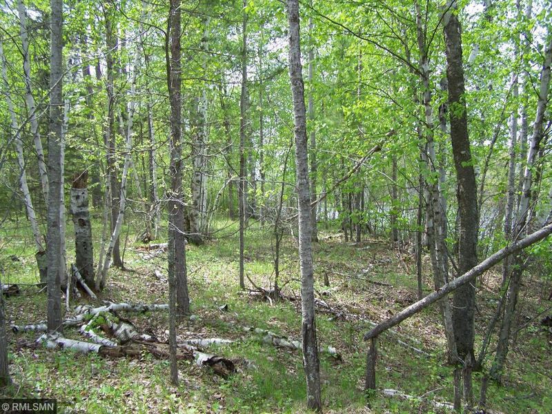 19500 Co Road 125, Park Rapids, MN 56470