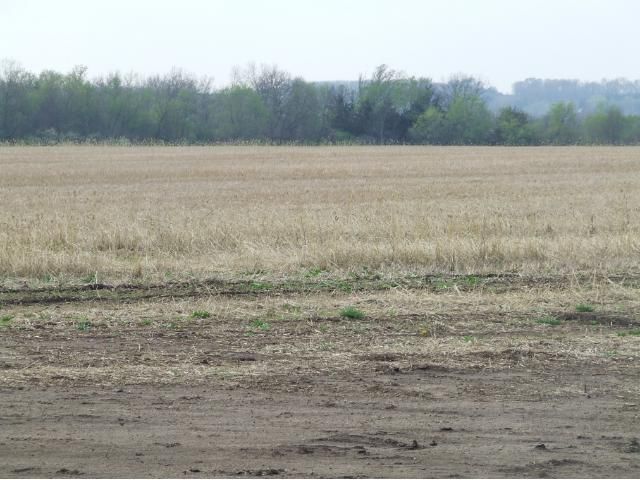 XXXX Highway 19, Cannon Falls, MN 55009