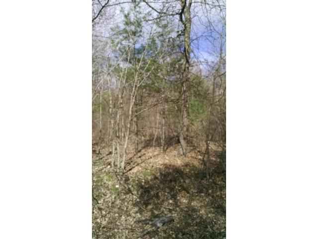 0 Bass Ave N, Webster, WI 54893