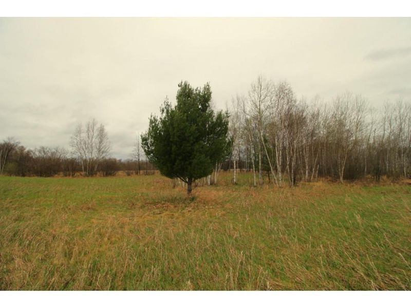20461 Rice Lake Rd, Deerwood, MN 56444