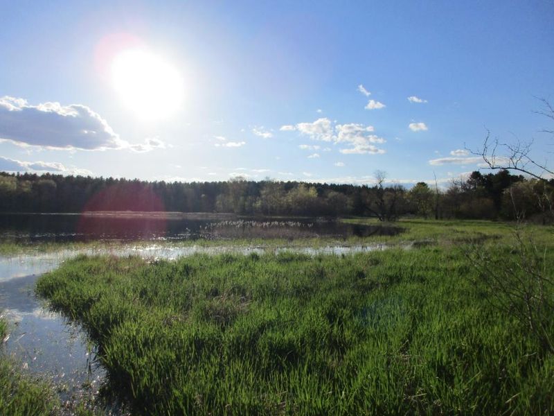 000 Dallas St, Chetek, WI 54728