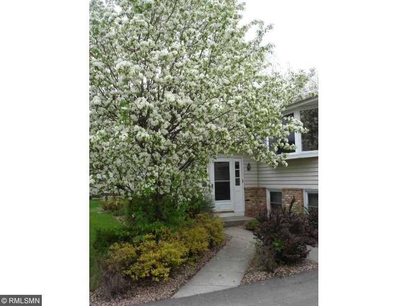 6810 118th Ave N, Champlin, MN 55316