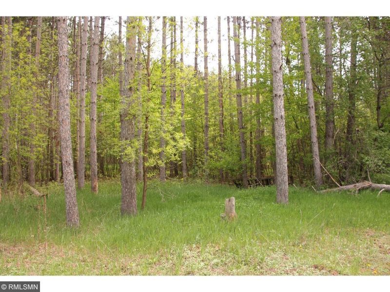 6037 233rd Ave NE, Stacy, MN 55079