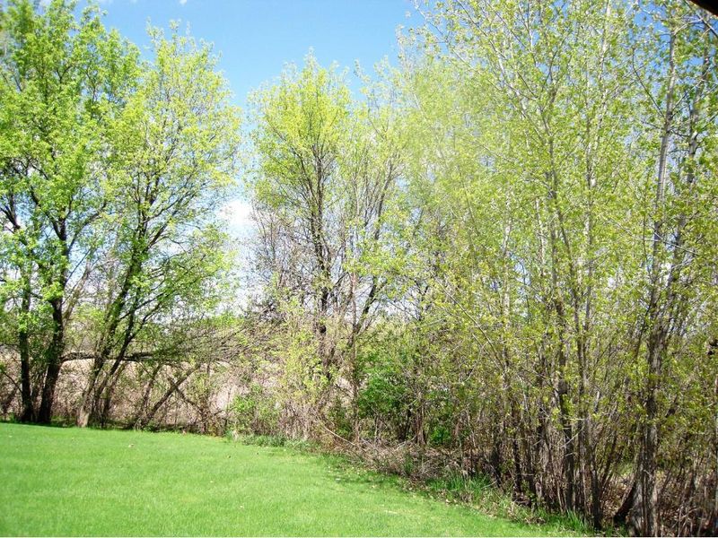 114 Sundance Rg, Buffalo, MN 55313