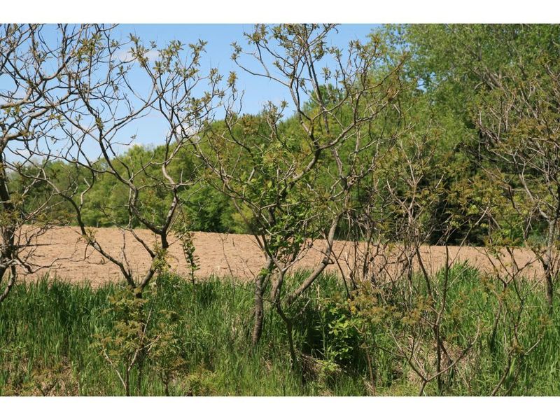 35089 Packard St NE, Cambridge, MN 55008