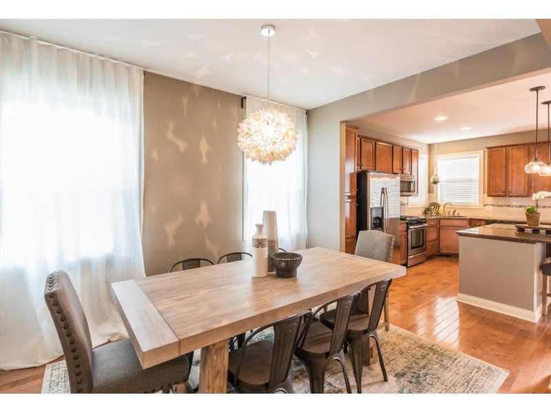 3971 Valencia Ln, Chaska, MN 55318