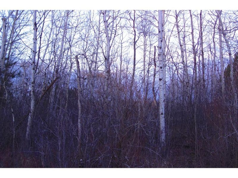 XXX Isleton, Hugo, MN 55038