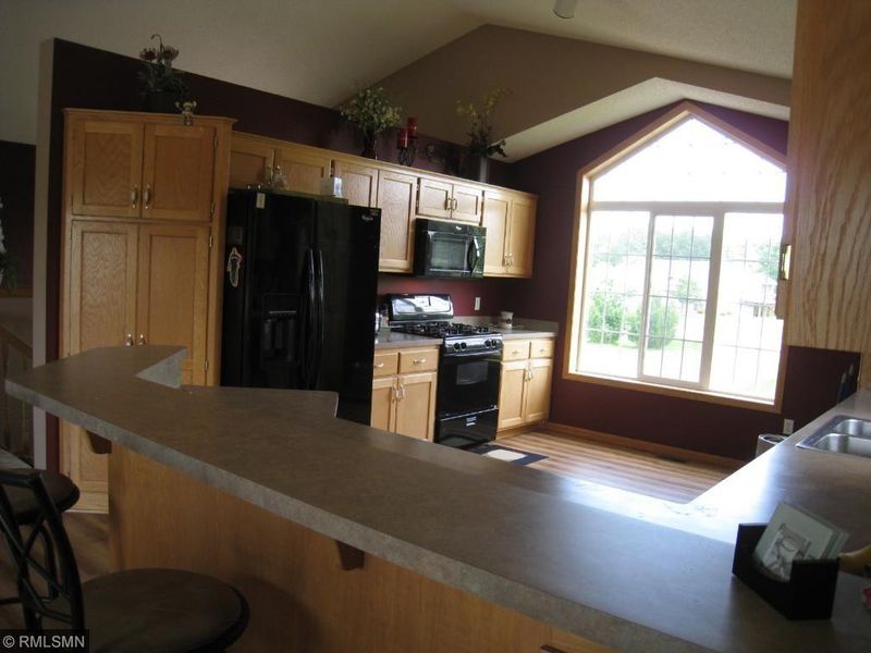 19980 Naples Ct NE, Cedar, MN 55011