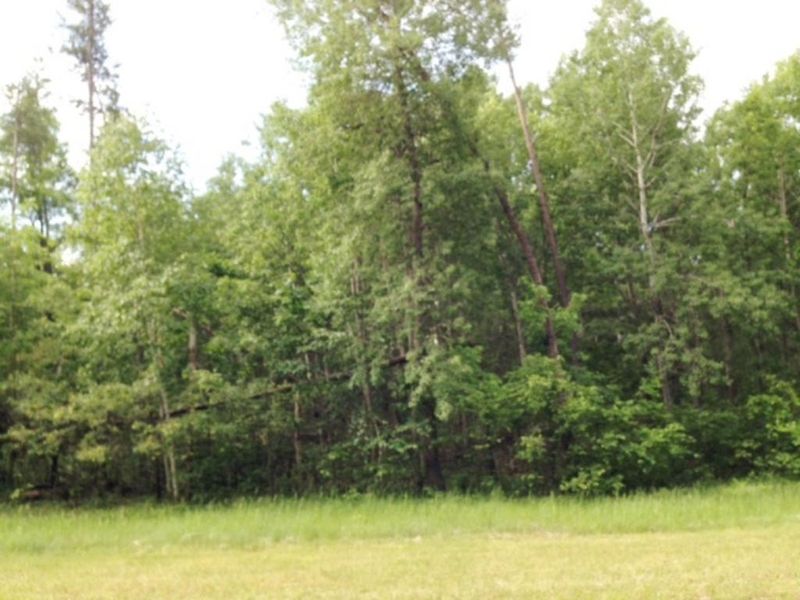 XXXX Buffalo Hills Ln, Brainerd, MN 56401