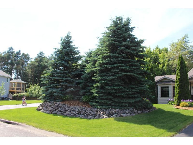 9769 River Forest Dr, Monticello, MN 55362