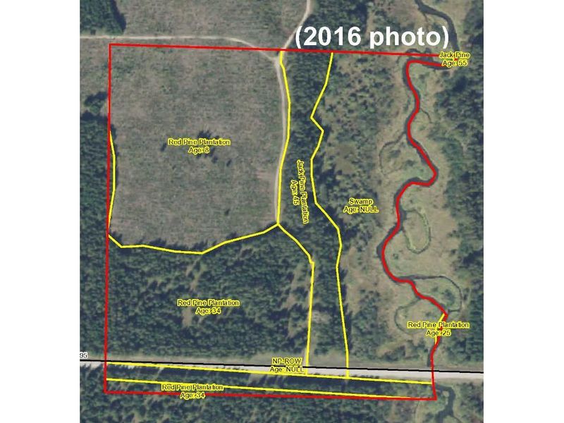 PtGL3 County Road 95, Lake George, MN 56458