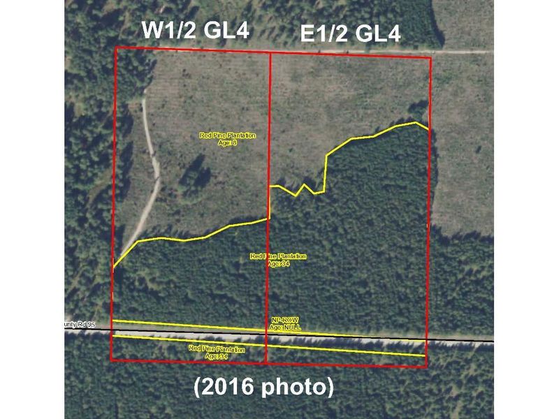 W2GL4 County Road 95, Lake George, MN 56458