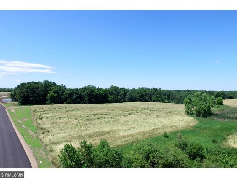 Lot 1 Blck 2 117th St NW, Annandale, MN 55302