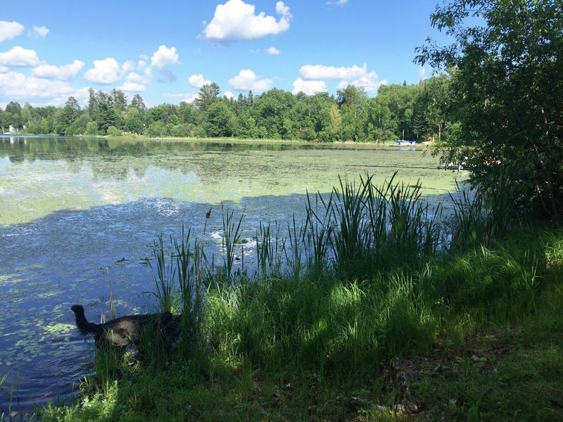 33698 Mc Avity Lake Ln, Grand Rapids, MN 55744