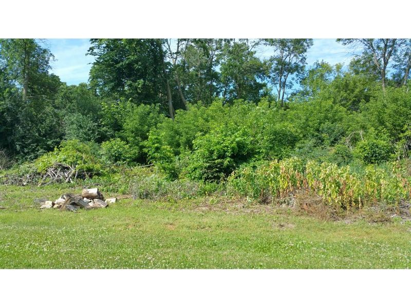 1017 W Irving St, Lake City, MN 55041
