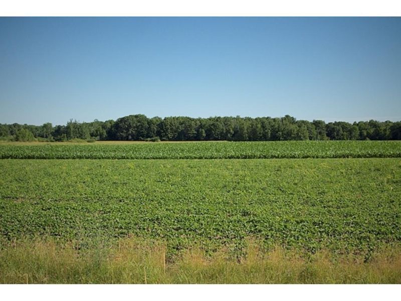 70xx 269th Ave NE, Stacy, MN 55079