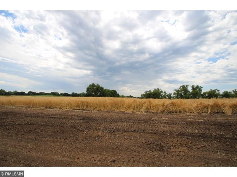 Lot 3 Blk 3 117th St NW, Annandale, MN 55302