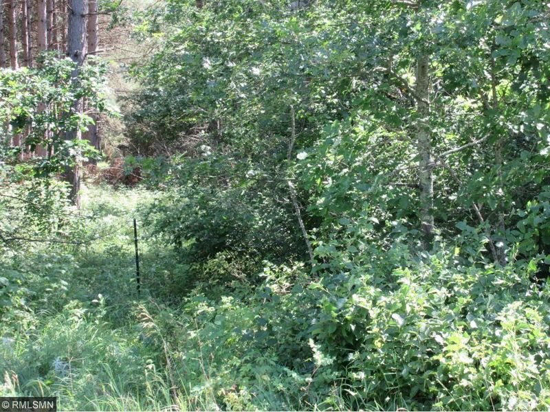 TBD Little Pine Trl SW, Brainerd, MN 56401