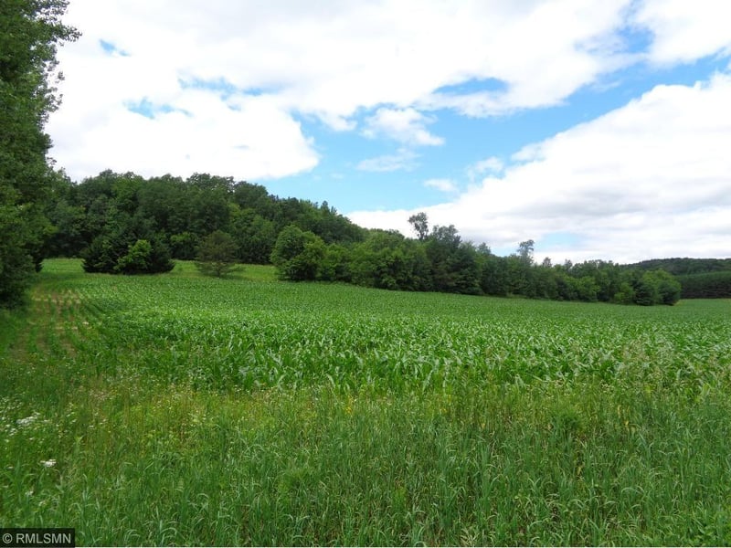 N12123 Olson Rd, Osseo, WI 54758