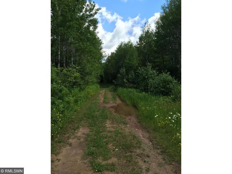 xx Swan Lake Rd, Alborn, MN 55702