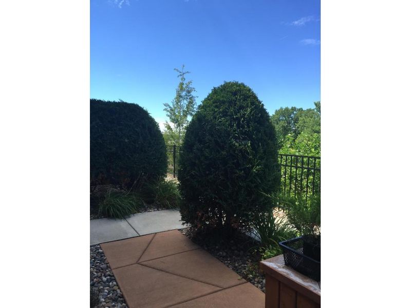 3307 Hazel Trl #B, Woodbury, MN 55129