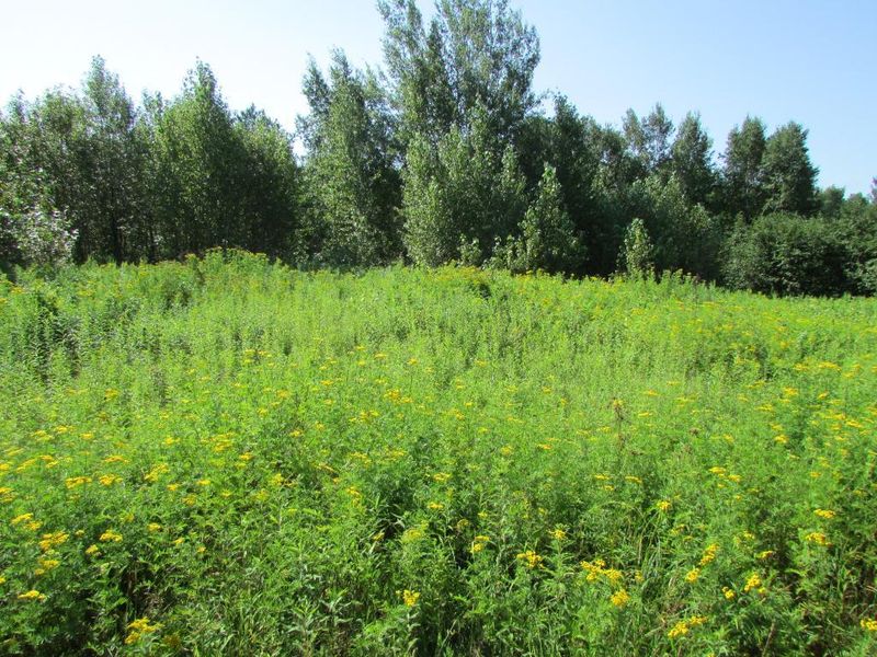 31264 Snowball Rd, Pengilly, MN 55775