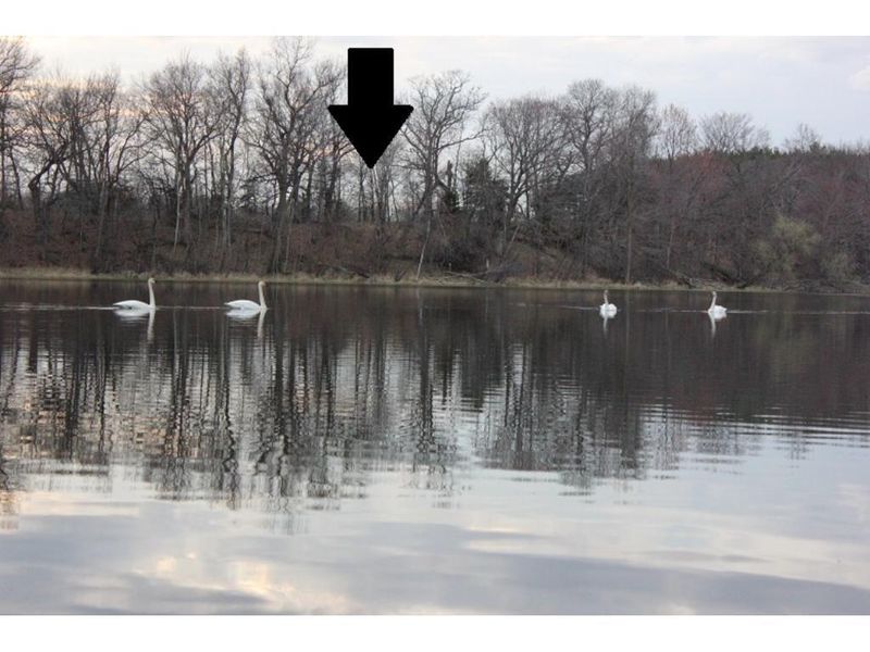 xxxx 412th St, North Branch, MN 55056