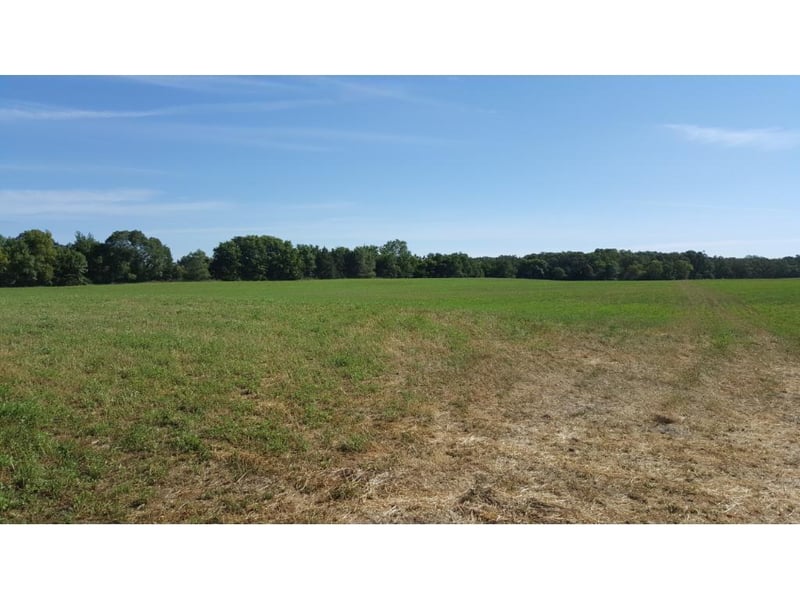 xxx County Road 7, Saint Augusta, MN 56301