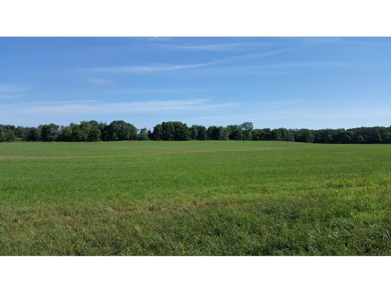 xxx County Road 7, Saint Augusta, MN 56301