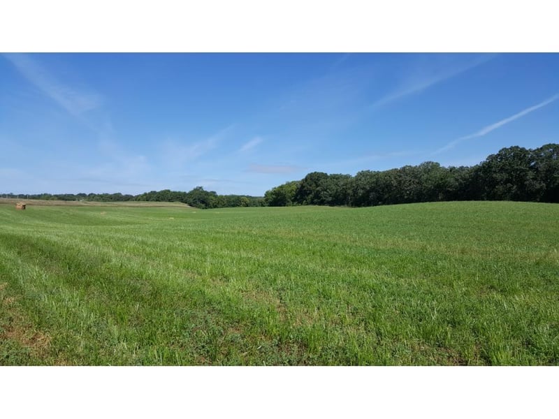 xxx County Road 7, Saint Augusta, MN 56301