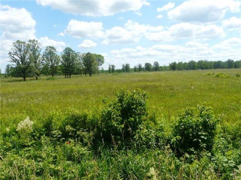 94114 Walczak Rd, Sturgeon Lake, MN 55783