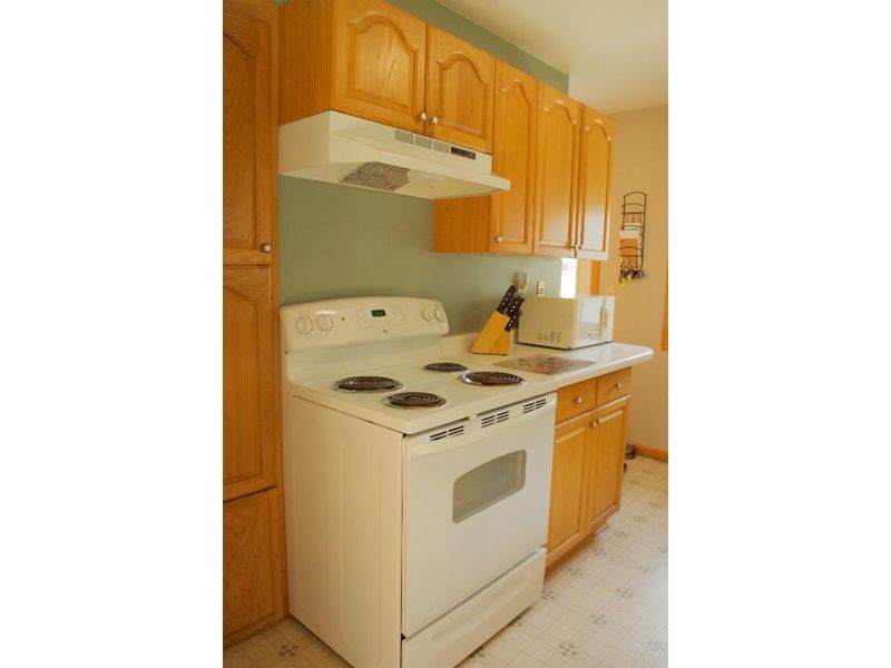 504 Turner Dr, Henderson, MN 56044